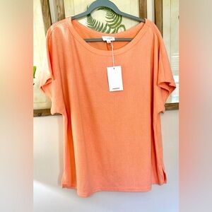 NWT Andree boutique waffle knit round neck short sleeve top